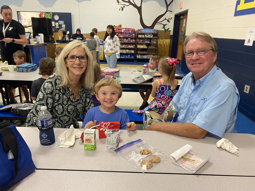 Grandparents with grandson